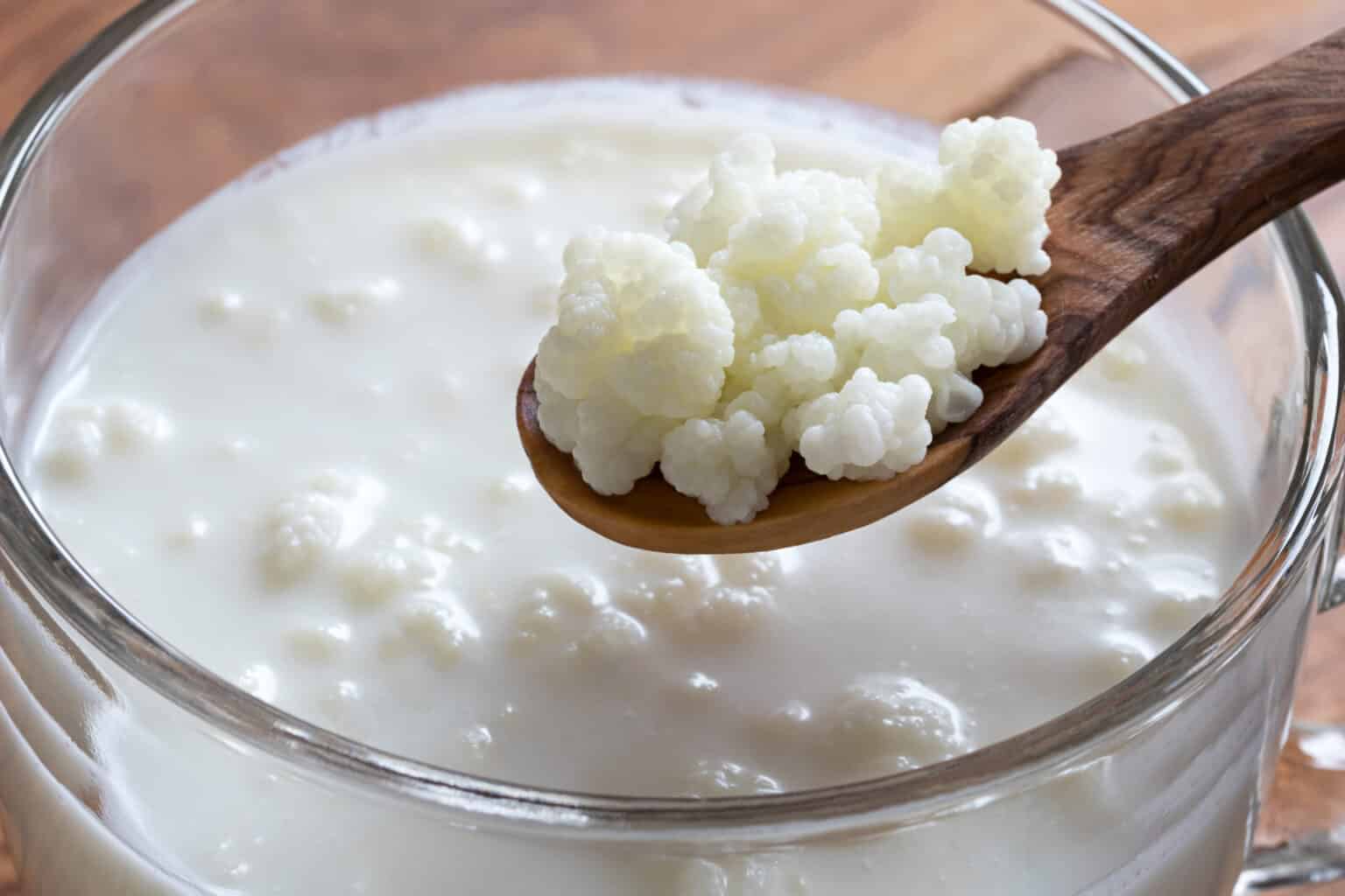 How To Store Kefir Grains Freezing, Refrigeration & Dehydration My Budget Recipes