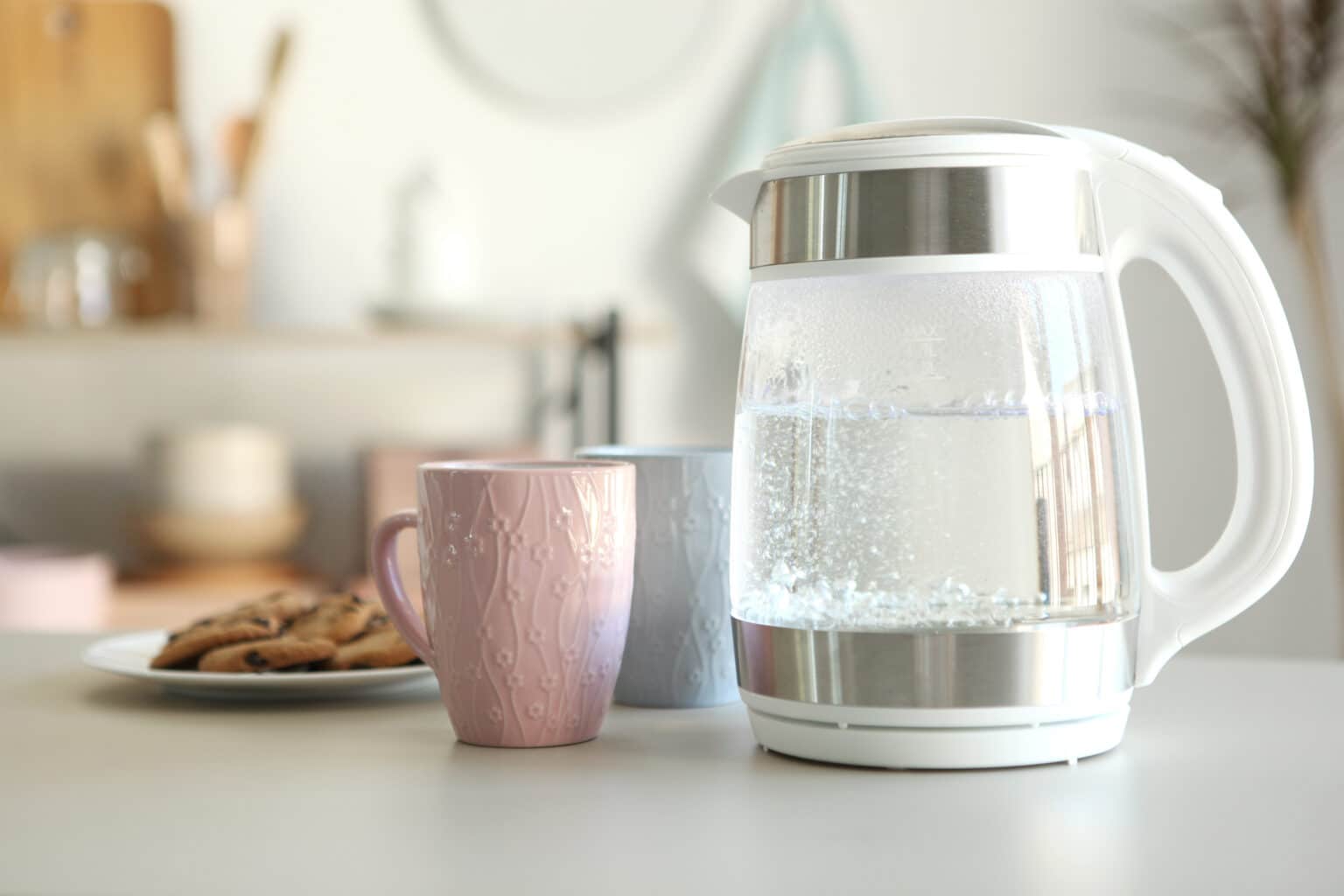 Are Kettles Safe Every Type Of Kettle Analyzed My Budget Recipes