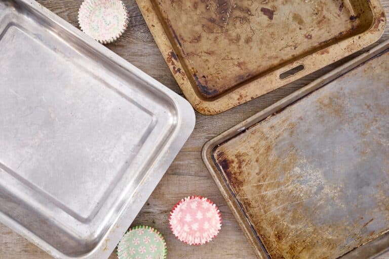 5 Products To Use To Line Dehydrator Trays With My Budget Recipes