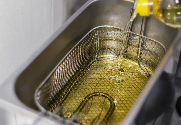 Are Deep Fat Fryers Worth It? My Budget Recipes