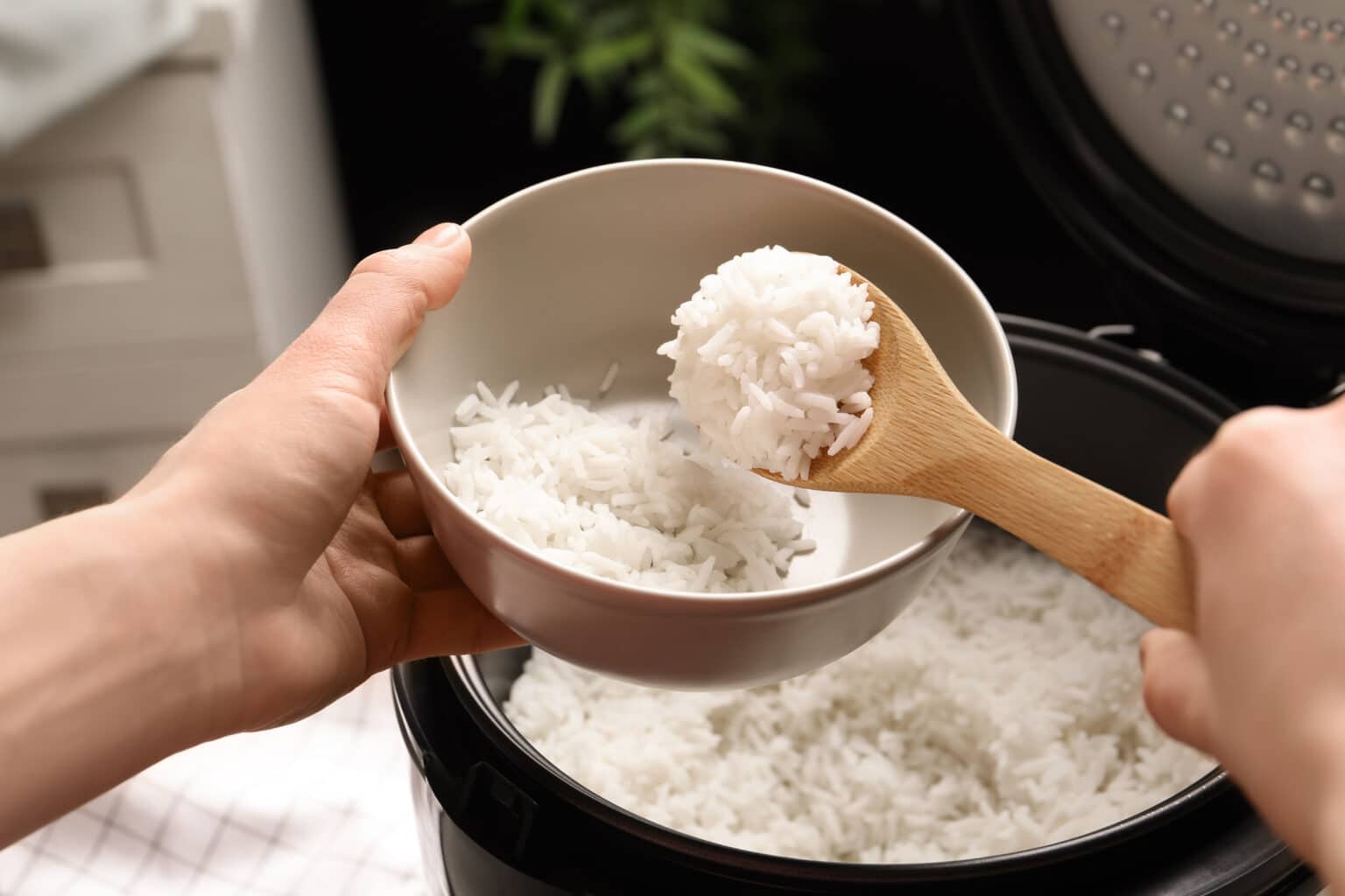 Do All Rice Cookers Work the Same? What To Know Before Buying My Budget Recipes