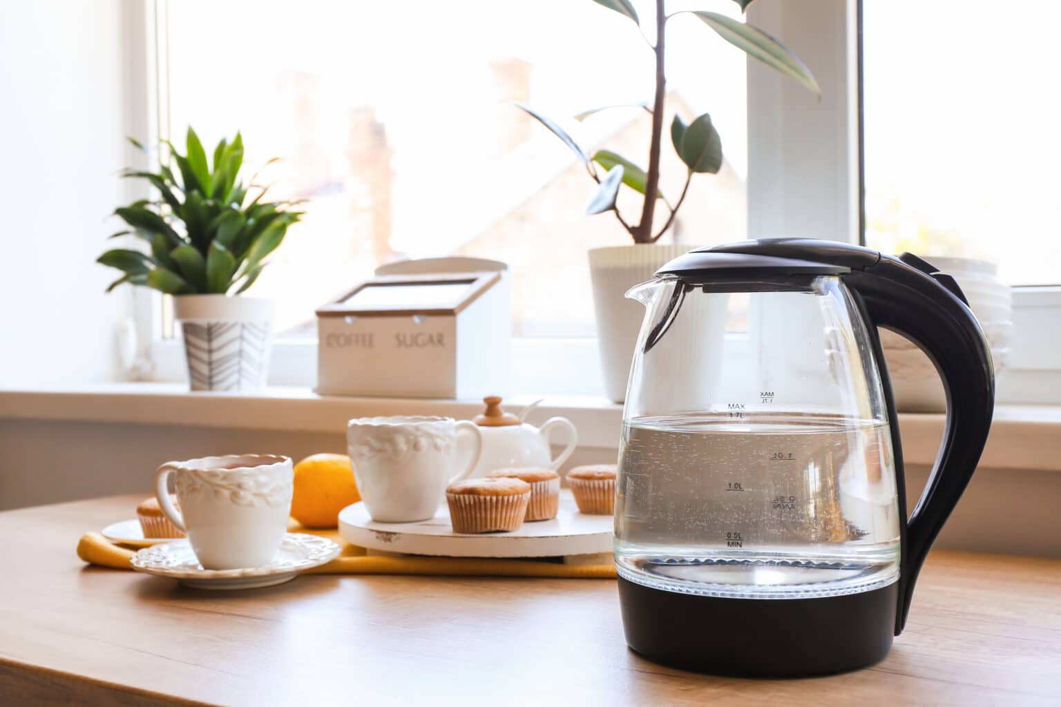 Glass Kettle vs. Plastic Kettle Which Is Better For Me? My Budget