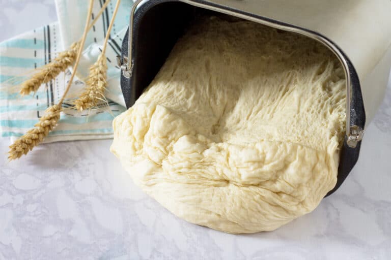 Bread Maker Paddle Won’t Turn Everything You Need To Know My Budget