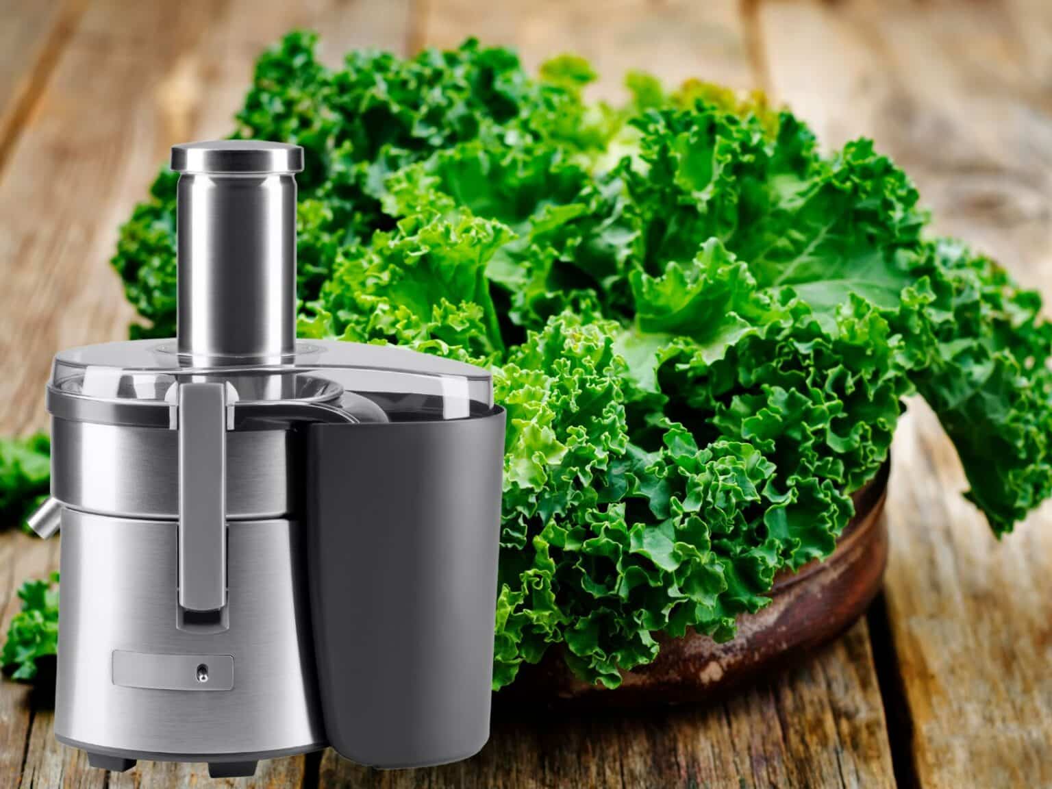 3 Best Juicers for Kale My Budget Recipes