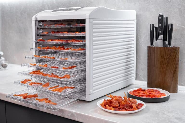 11 Reasons Your Dehydrator Stopped Working And How To Fix It My