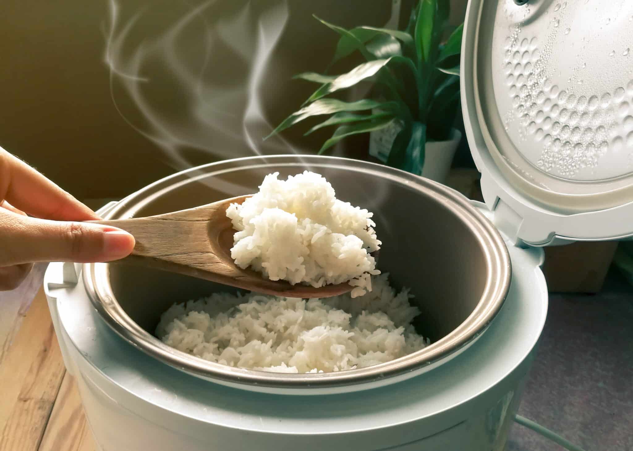 Can You Safely Leave Your Rice Cooker on Warm? Here’s What You Need To Know