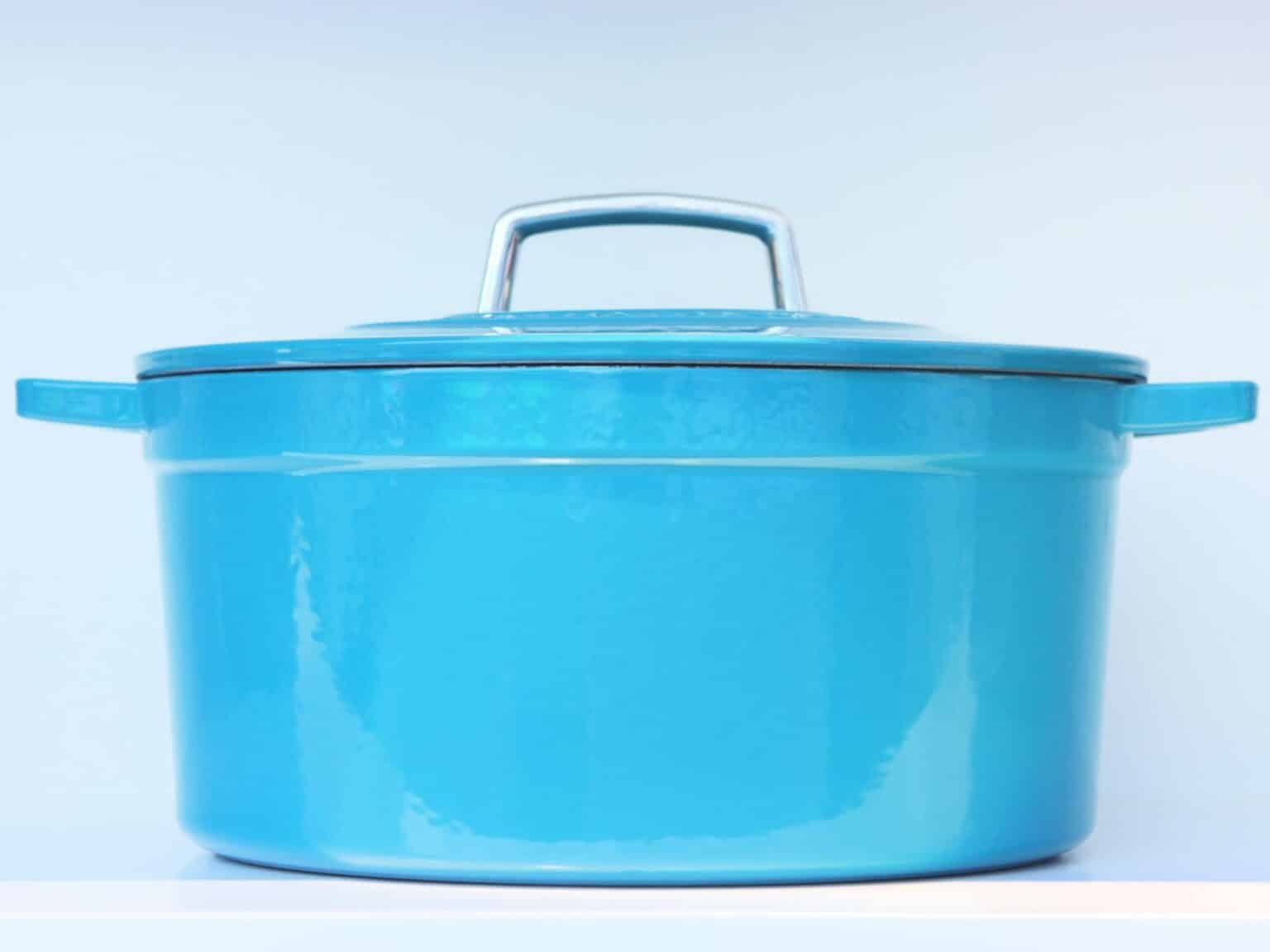 Can a Le Creuset (Including Lid) Go in the Oven? My Budget Recipes