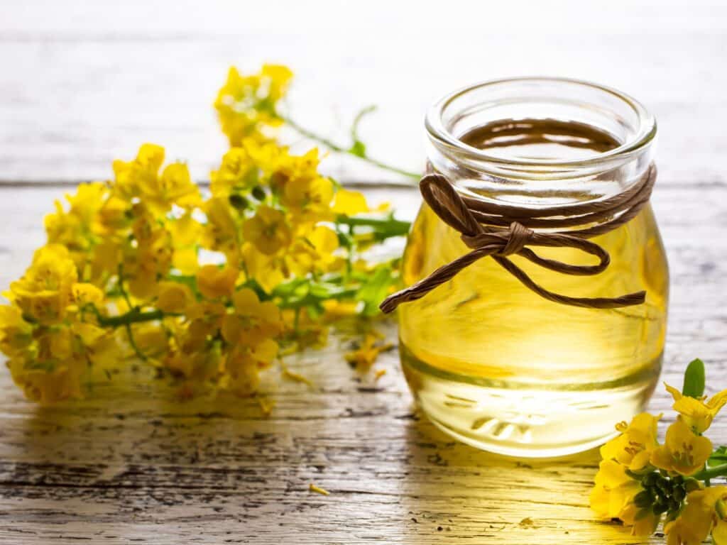 Can You Mix Canola Oil and Vegetable Oil? Possible Implications and ...