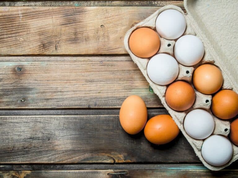 Left Eggs in Car Overnight Risky Business My Budget Recipes