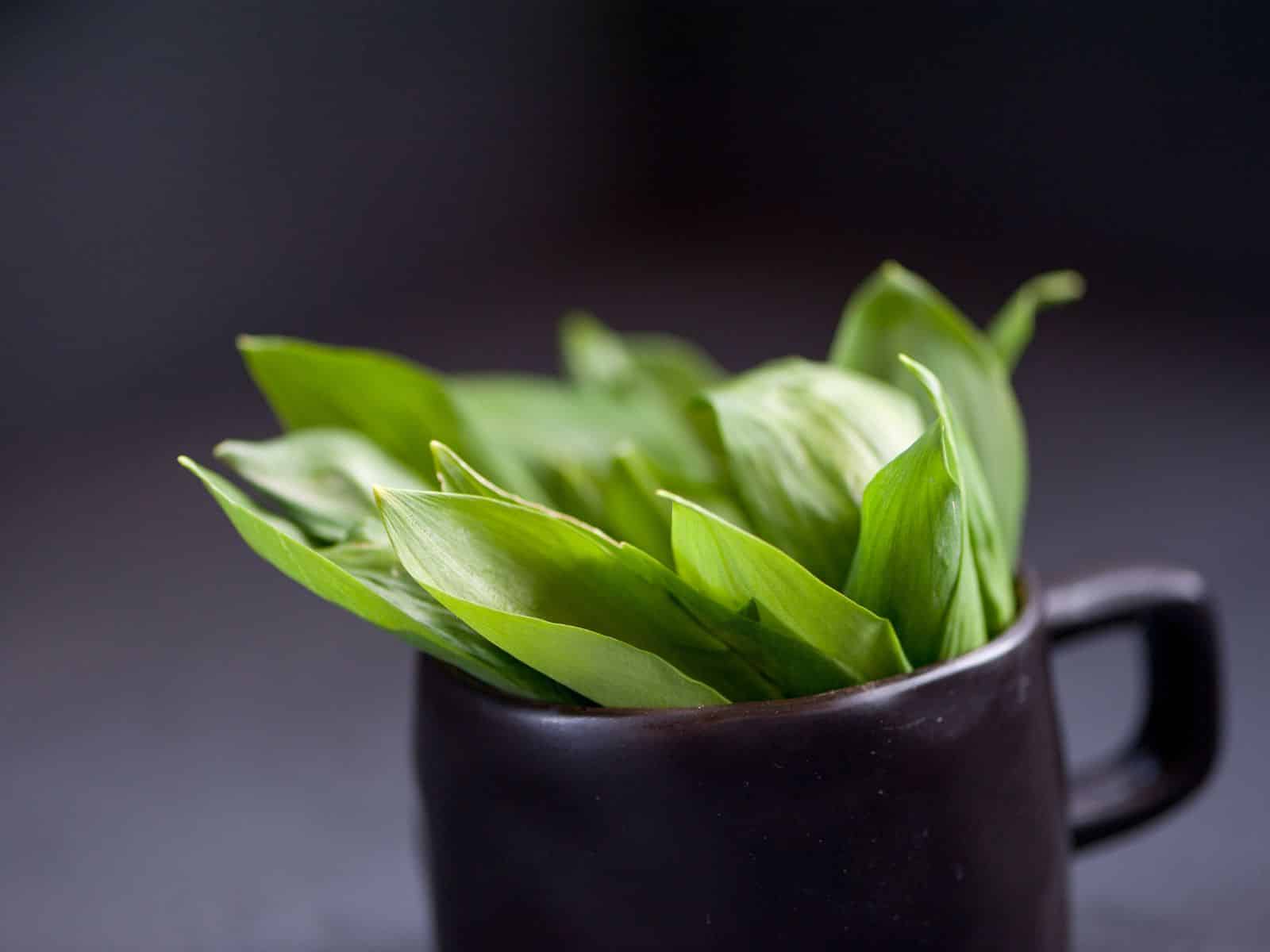 Can You Eat Garlic Leaves? Either Raw or Cooked My Budget Recipes