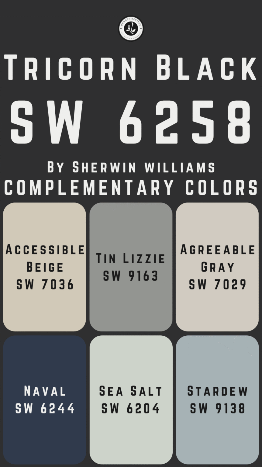 Tricorn Black by Sherwin Williams SW 6258: The Perfect Bold Black Paint ...