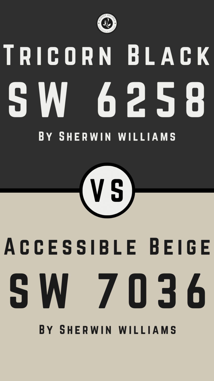 Tricorn Black by Sherwin Williams SW 6258: The Perfect Bold Black Paint ...