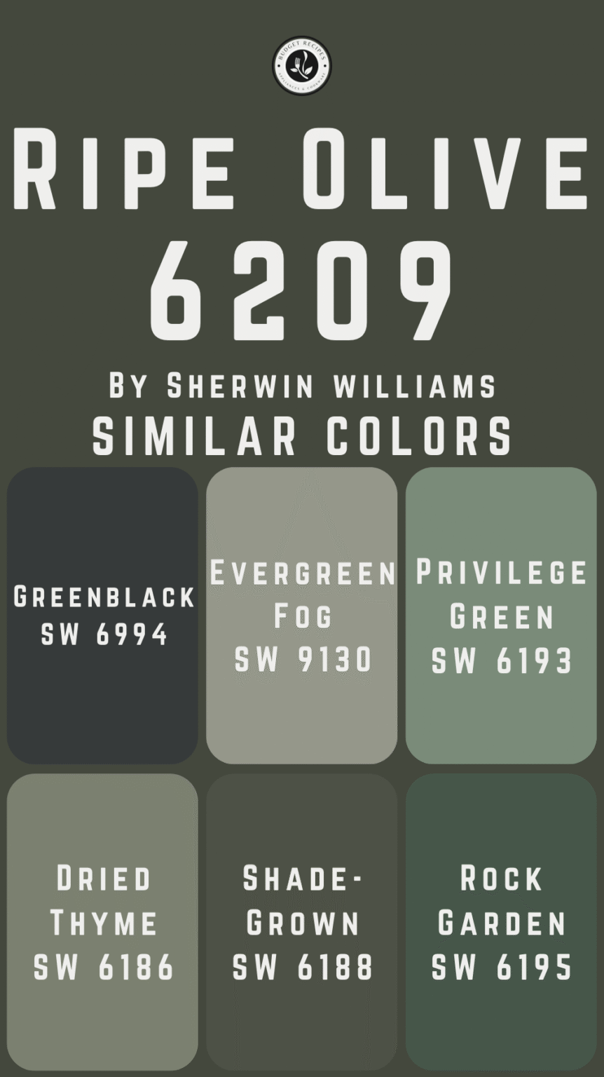 Ripe Olive by Sherwin Williams SW 6209: Color Guide & Inspiration – My ...