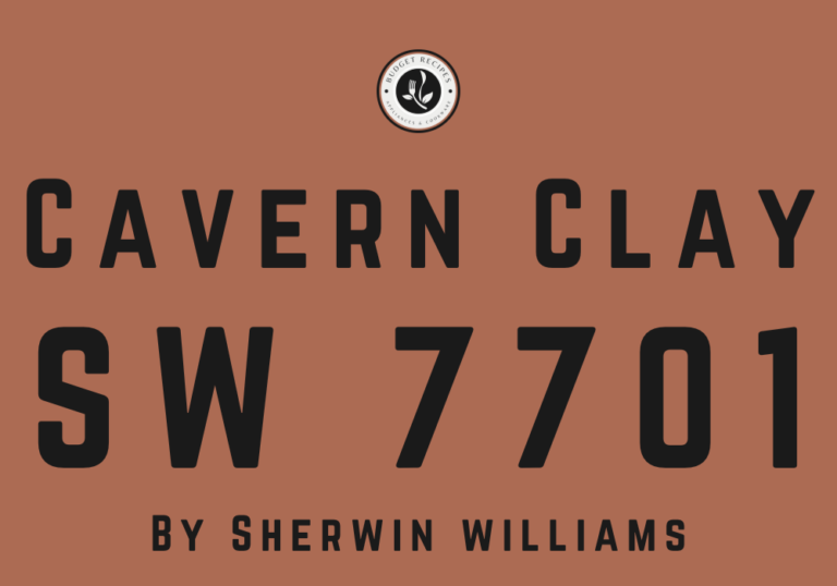 Cavern Clay by Sherwin Williams SW 7701: A Friendly Guide – My Budget ...