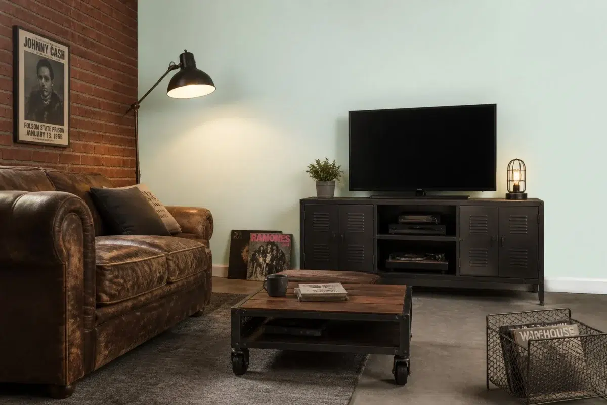 Aquacade 226 paint color — Living Room (Industrial)